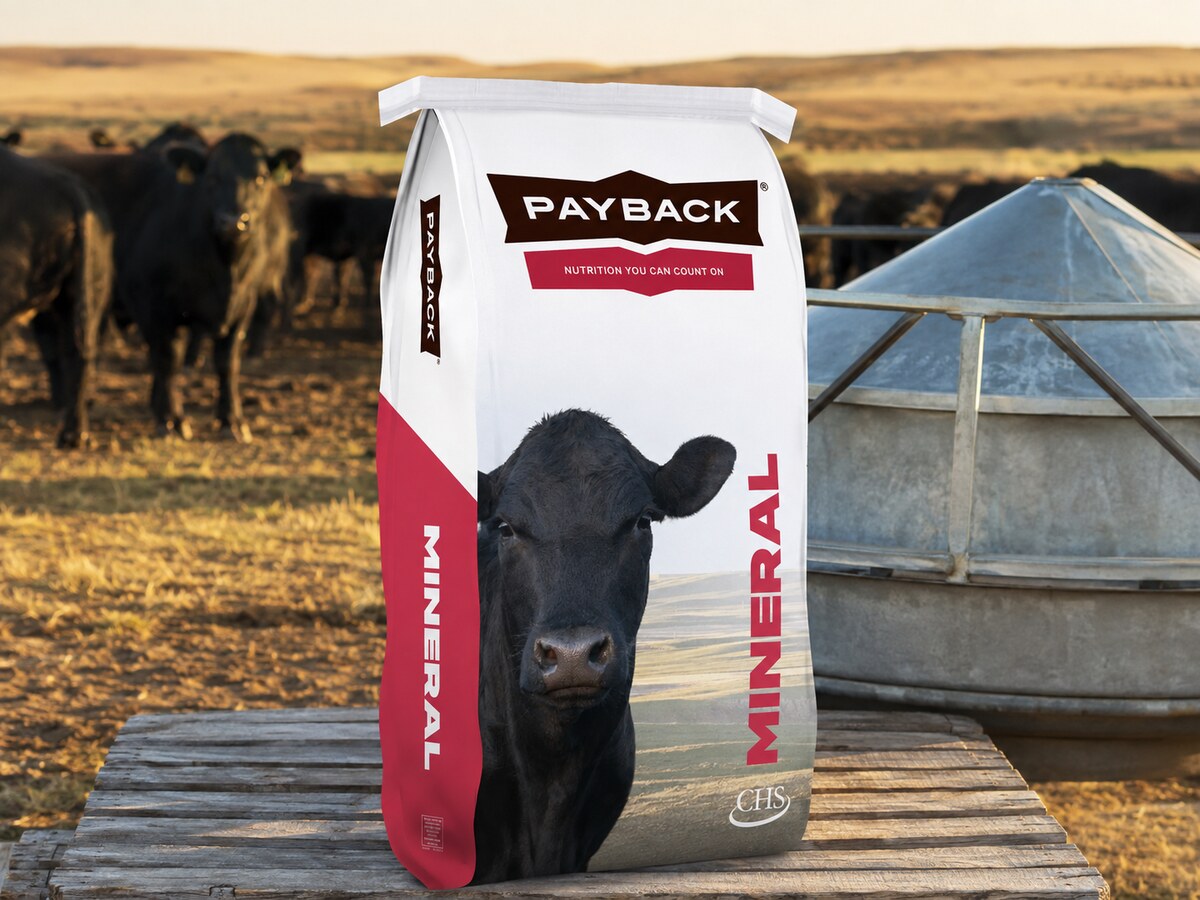 Payback Mineral